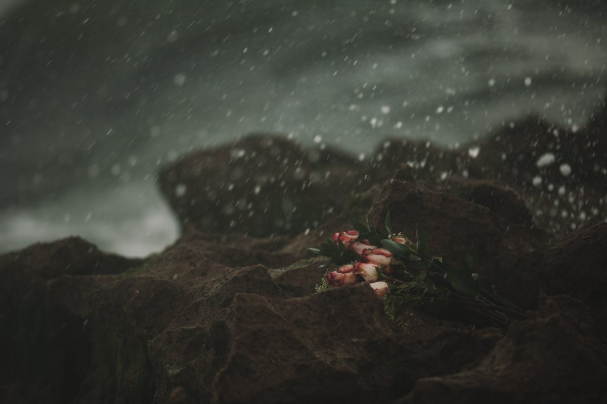 strand boeket rozen donker