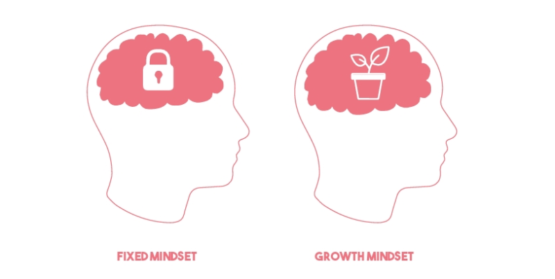 fixed growth mindset